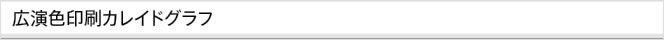 広演色印刷カレイドグラフ